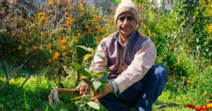 बागेश्वर जिले के किसान जगदीश चंद्र कुणियाल पौधा लगाते हुए