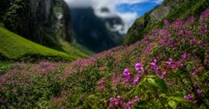 Nanda Devi National Park trekking valley route in Uttarakhand