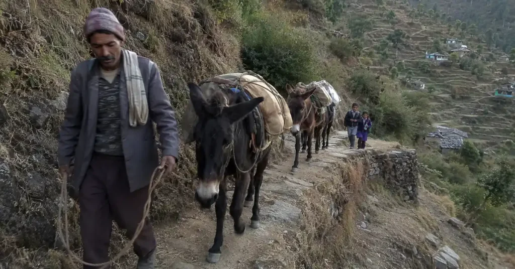 उत्तराखंड के पुराने पैदल मार्गों और सड़क से पहले की पहाड़ी आवाजाही को दर्शाती दृश्य संरचना