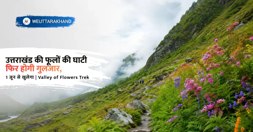 1 जून से खुलेगा Valley of Flowers Trek और फूलों की घाटी में खिलते रंग-बिरंगे फूलों का दृश्य