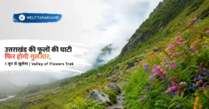 1 जून से खुलेगा Valley of Flowers Trek और फूलों की घाटी में खिलते रंग-बिरंगे फूलों का दृश्य