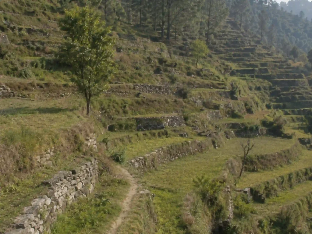 "एक उम्र बाद मैं वापस लौट आऊँगा": एक पहाड़ी मन की कहानी 2 पहाड़ के सीढ़ीनुमा खेतों का दृश्य