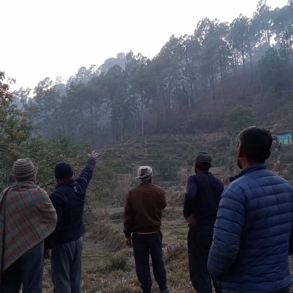 क्या गूलदार, तेंदुआ, चीता और बाघ एक ही हैं? पहाड़ों में नामों के भ्रम की कहानी 1 uttarakhand villagers wild animal sighting