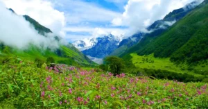उत्तराखंड की फूलों की घाटी में खिलते फूलों और हिमालयी पहाड़ों का दृश्य