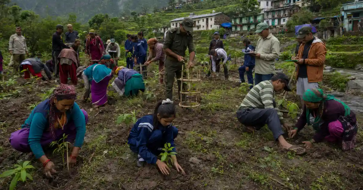 हरेला पर उत्तराखंड में 70 लाख पौधे लगाने का लक्ष्य, 7,817 ग्राम पंचायतों और 15,906 गांवों की होगी भागीदारी