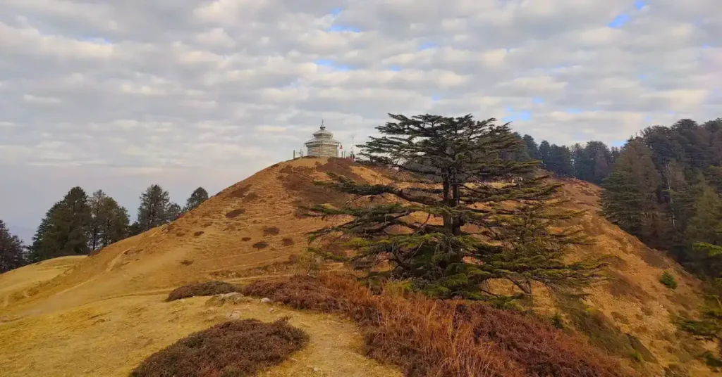 A scenic view of Moila Top in Chakrata, Uttarakhand, featuring the hilltop temple, open grassland and surrounding deodar forest.