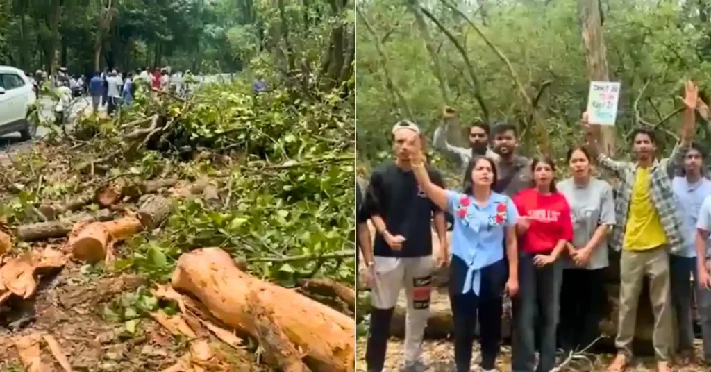 Felled trees and local residents protesting against the proposed tree felling for the Rishikesh Bypass Project in the Shivalik Elephant Reserve near Rishikesh.