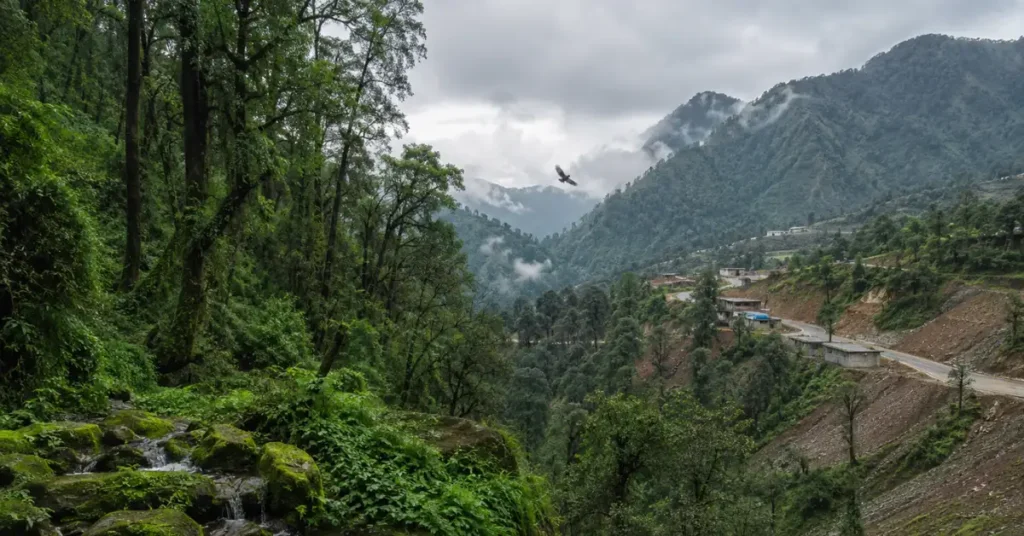 A Himalayan landscape in Uttarakhand showing a dense forest alongside road construction and hillside development, illustrating the balance between nature and infrastructure.