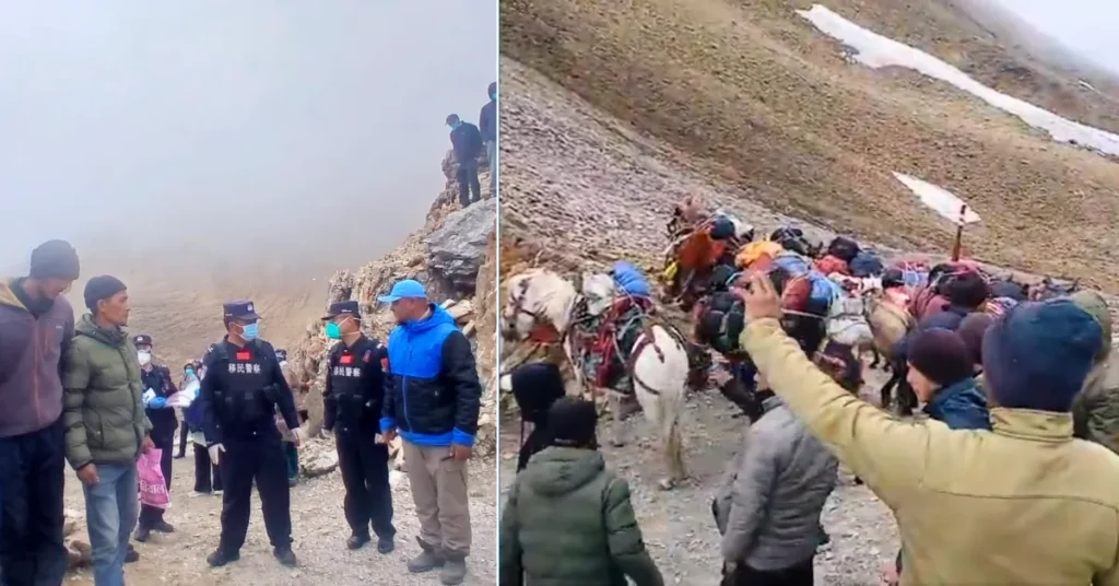 Indian traders complete border formalities and lead pack animals carrying trade goods as the first trade delegation crosses Lipulekh Pass towards Taklakot after the reopening of India-Tibet border trade.