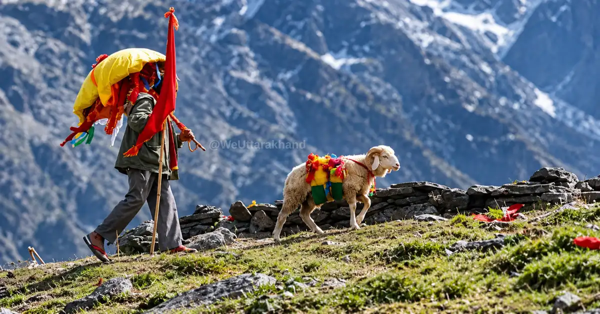 Home 7 नंदा देवी बड़ी जात: 12 साल बाद 5 सितंबर से शुरू होगी यात्रा, तैयारियां अंतिम चरण में