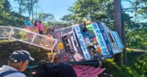 GMOU passenger bus tilted down a wooded roadside slope beside a large tree, with bystanders standing above near a white roadside railing.