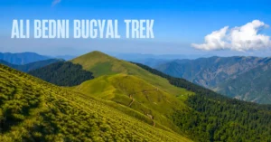 Ali Bedni bugyal Trek in Uttarakhand 1