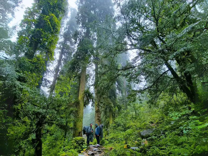 GULABIKANTHA TREK 12