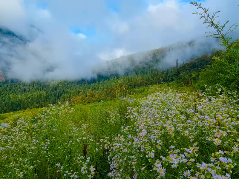 GULABIKANTHA TREK 7