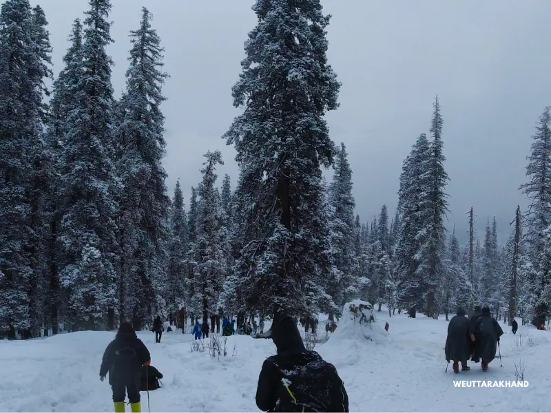 Kedarkantha Trek 4