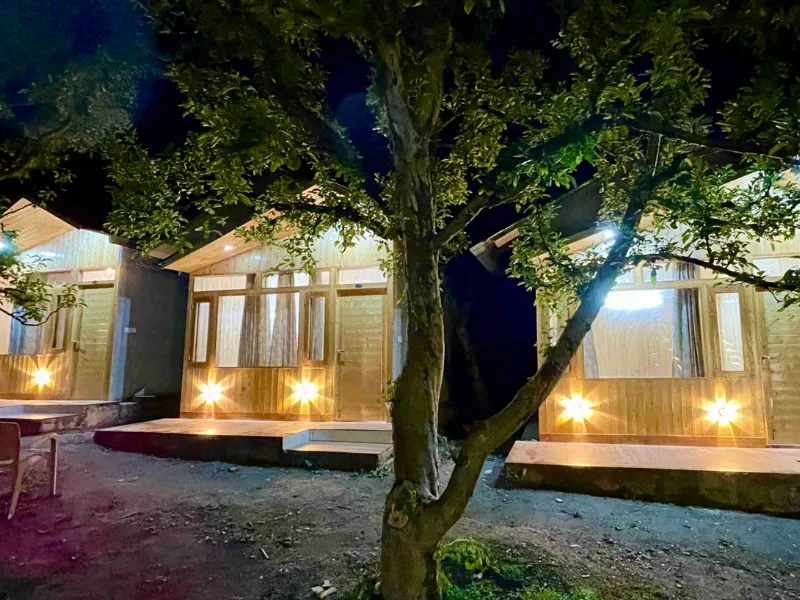 Snow Leopard Camp Gangotri – Uttarkashi